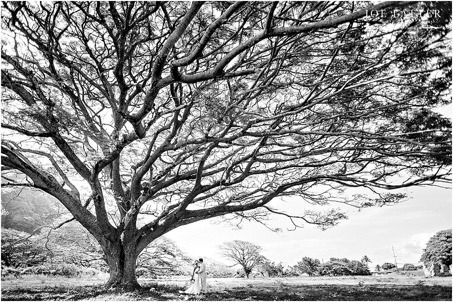 0027 Hawaii Wedding Oahu Kualoa Ranch Photographer